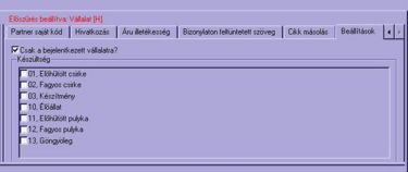 beállítások fül